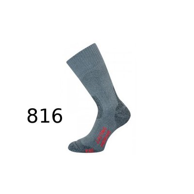 Шкарпетки Lasting TXC 002.003.2646 фото